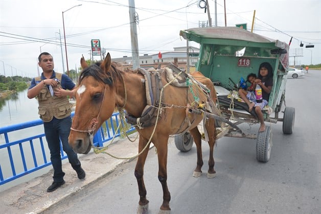 Ultimátum a carretoneros