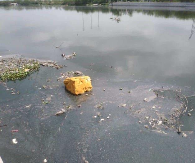 Queda en el olvido rescate de laguna Queda en el olvido rescate de laguna