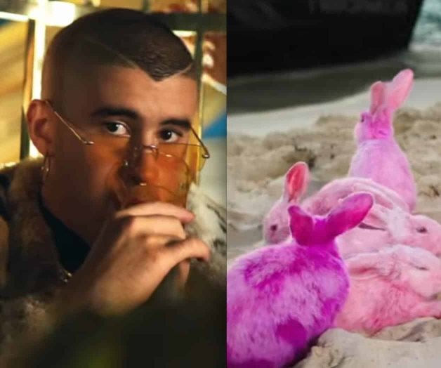 Criticado por pintar conejos en su nuevo video