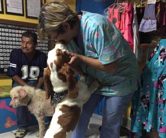 Amor de perros es incondicional Amor de perros es incondicional