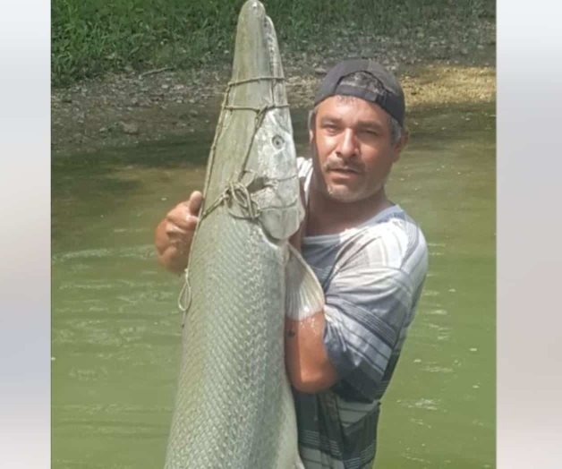 Enormes ‘catanes’ en el río Conchos