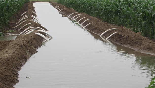 Perspectivas alentadoras. Este año reservará más agua la ‘Marte R. Gómez’