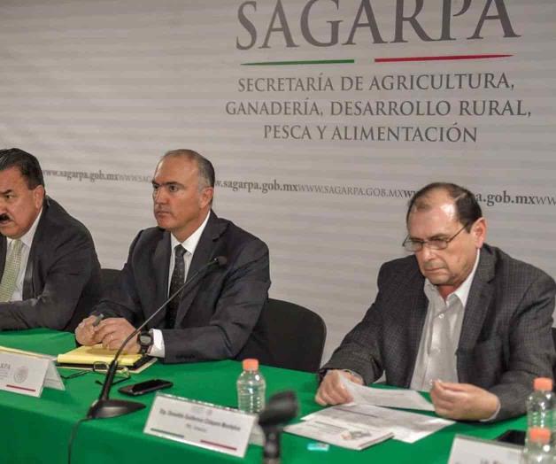 Denuncian desvíos en la Sagarpa Denuncian desvíos en la Sagarpa