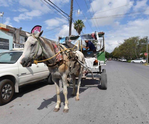 Quedan 3 meses para eliminar carretoneros