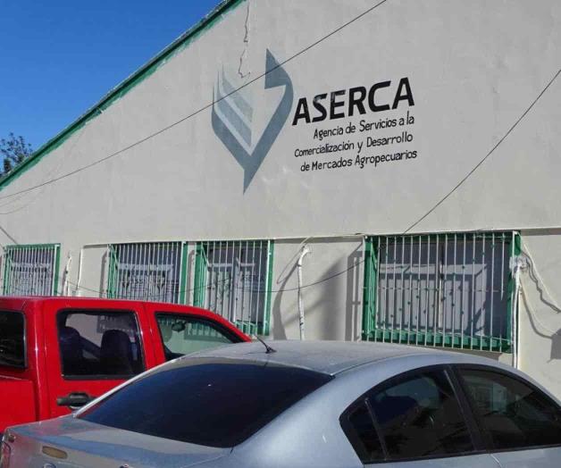 Abren ventanillas de Aserca para coberturas de algodón