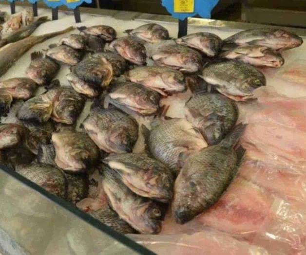 ¿Cuántas veces por semana es bueno comer pescado? ¿Cuántas veces por semana es bueno comer pescado?