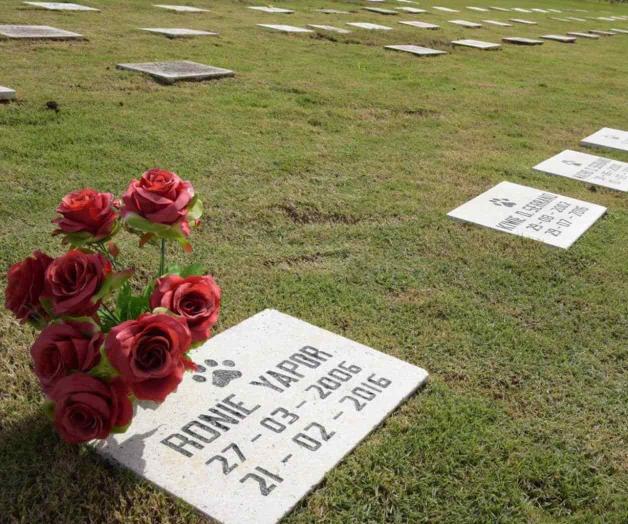¿Cementerio de mascotas?
