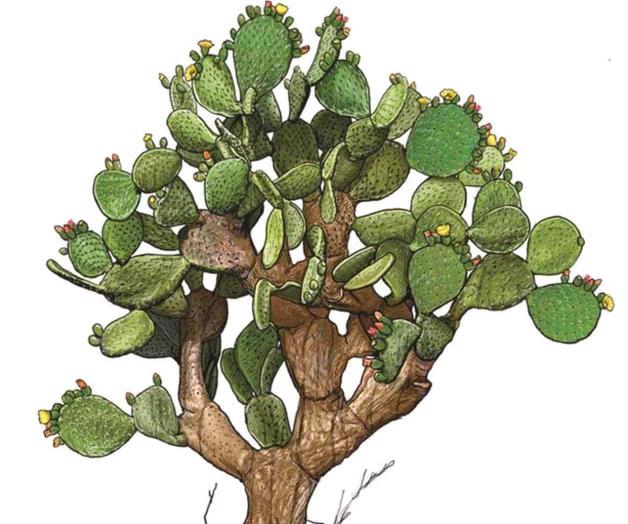 Lo que es no saber Lo que es no saber