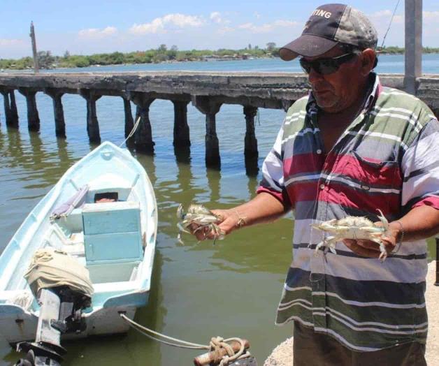 Detectan grave contaminación en río Pánuco Detectan grave contaminación en río Pánuco