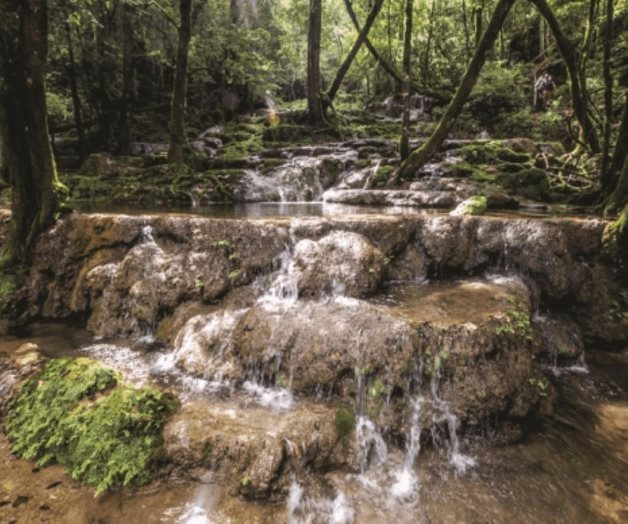 El Cielo, la increíble Reserva de la Biósfera de México El Cielo, la increíble Reserva de la Biósfera de México