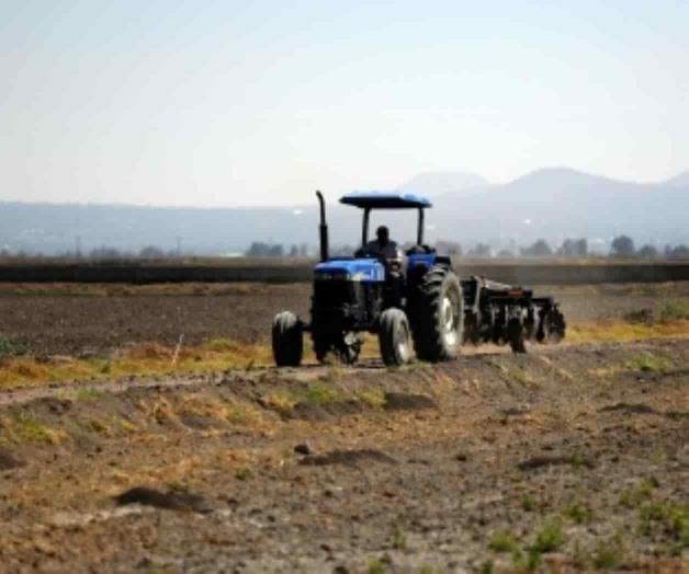 Ejidatarios yucatecos denuncian a político dedicado a despojar tierras Ejidatarios yucatecos denuncian a político dedicado a despojar tierras