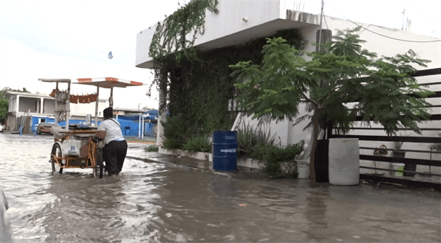 Puede más su fuerza de voluntad que la del agua
