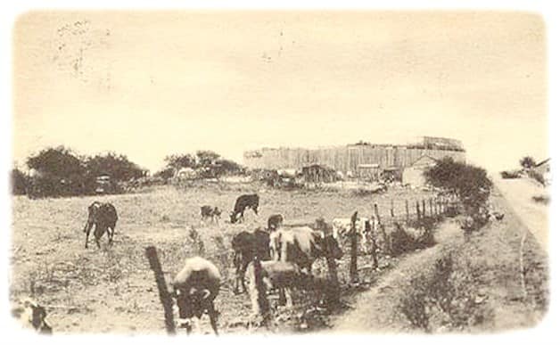 El huracán de 1933 en Reynosa