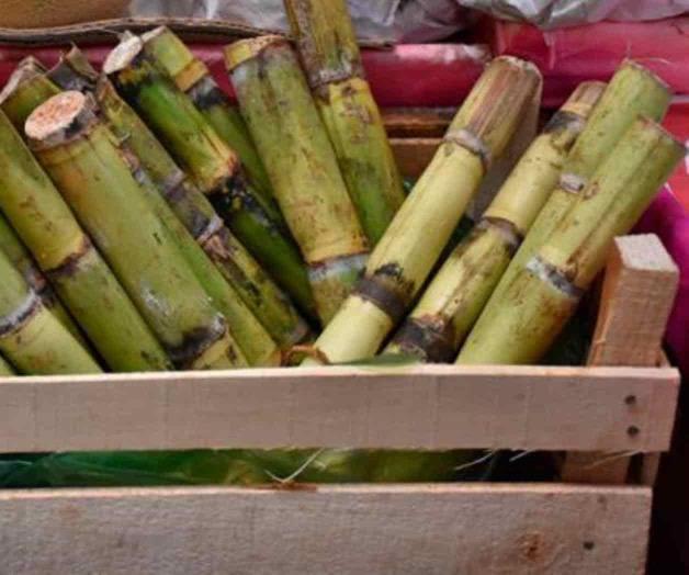 Encabeza México primer lugar para exportar azúcar a EUA Encabeza México primer lugar para exportar azúcar a EUA