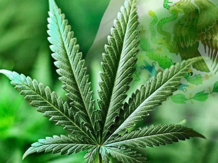 Plantea AMLO abrir debate sobre legalización Plantea AMLO abrir debate sobre legalización
