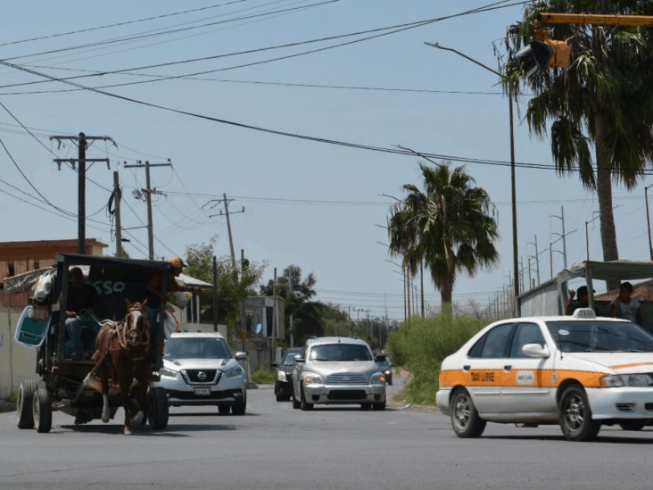 Exigen respetar el plazo. Alzan la voz defensores de animales Exigen respetar el plazo. Alzan la voz defensores de animales