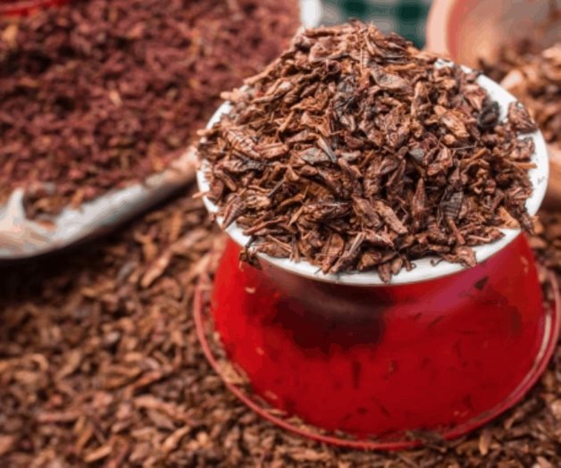 Conoce los beneficios de comer chapulines
