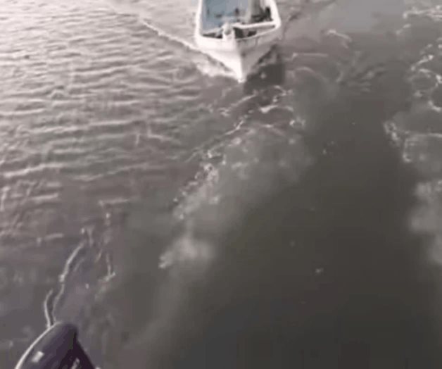 Captan en video asalto a turistas que viajaban en embarcación en Tabasco Captan en video asalto a turistas que viajaban en embarcación en Tabasco