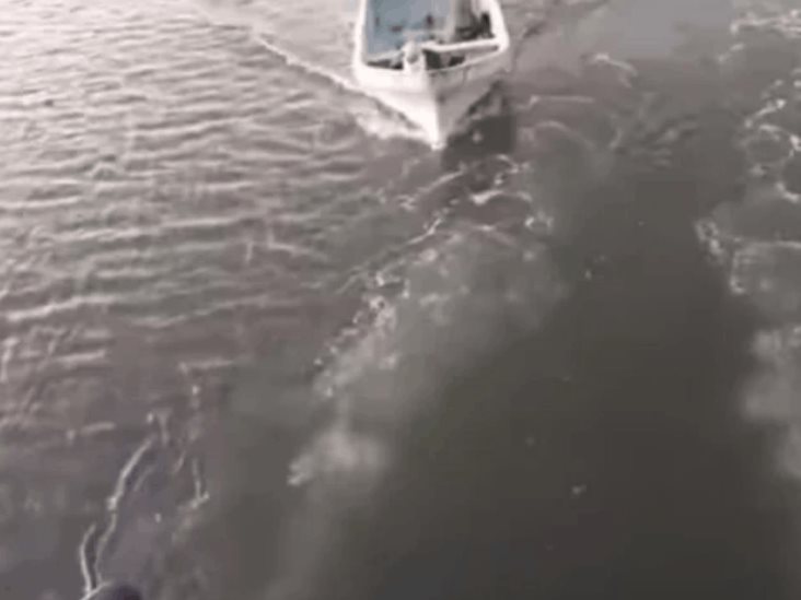 Captan en video asalto a turistas que viajaban en embarcación en Tabasco Captan en video asalto a turistas que viajaban en embarcación en Tabasco