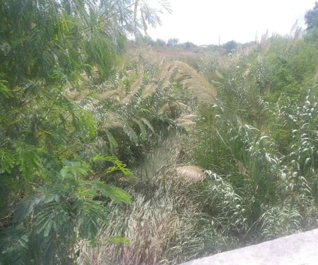 Urge desazolve en este ¿canal?