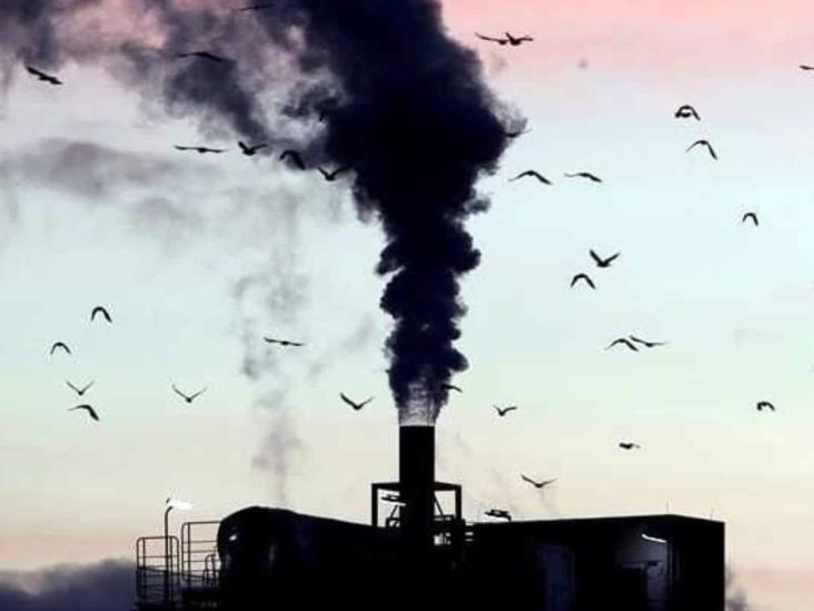 Pactan 66 países llegar a cero emisiones Pactan 66 países llegar a cero emisiones