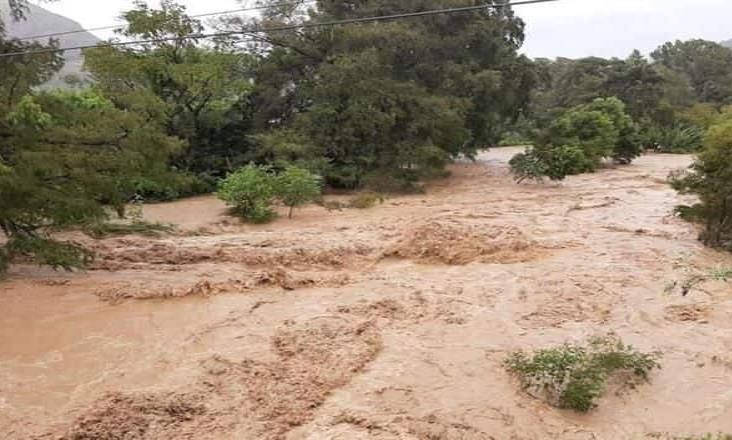 Deja Narda un muerto en Oaxaca Deja Narda un muerto en Oaxaca