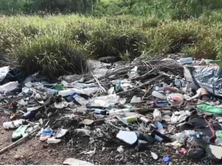 Desde un simple plástico hasta muebles, la basura que tiran por toda la ciudad Desde un simple plástico hasta muebles, la basura que tiran por toda la ciudad