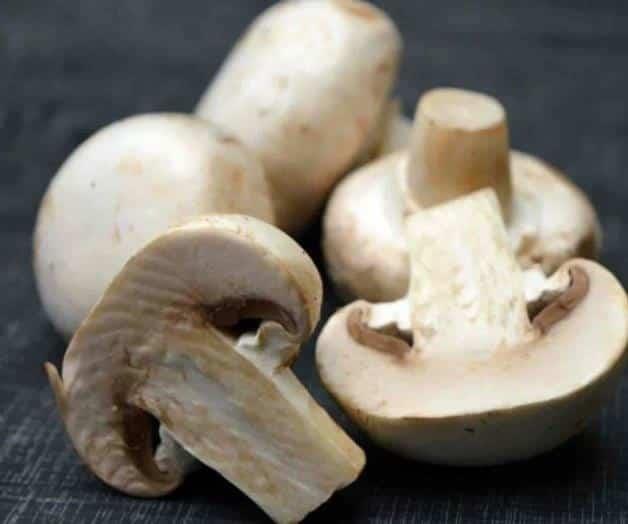 Conoce los beneficios de comer champiñones todos los días Conoce los beneficios de comer champiñones todos los días