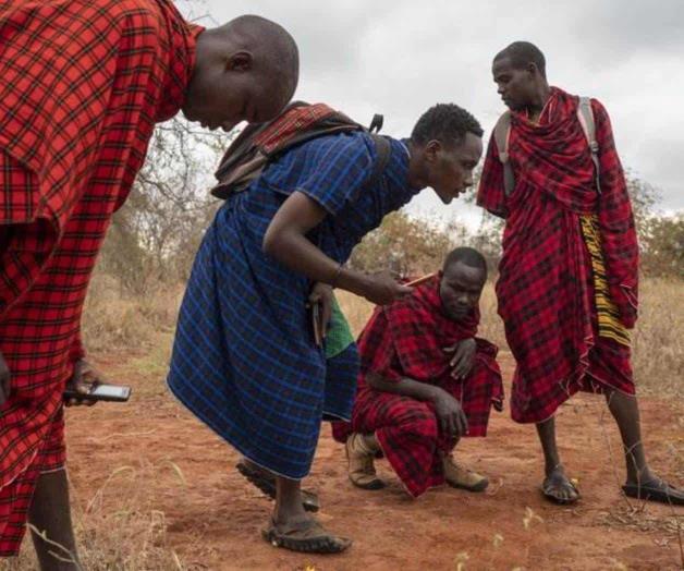 Leones matan ganado, hombre mata leones: ¿Ciclo inevitable?