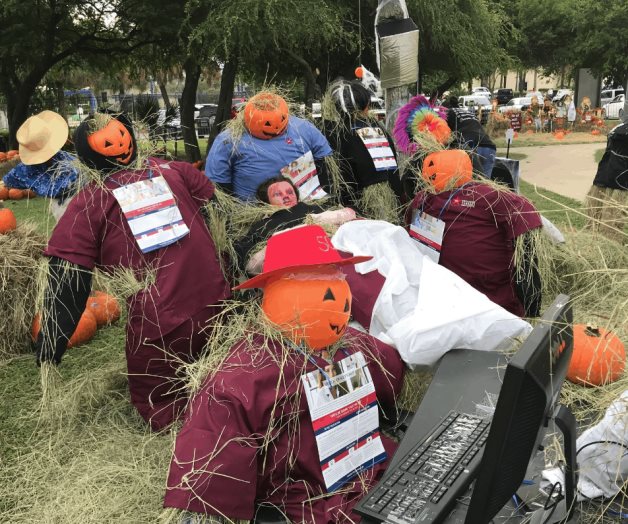 Lista parcela de calabazas