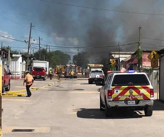 Arde pulga de Álamo