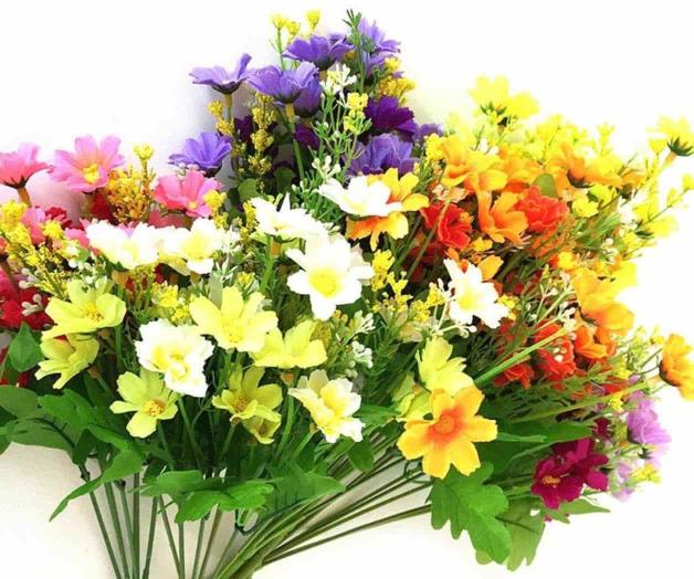 Anuncia Aduana flores que no pueden cruzar Anuncia Aduana flores que no pueden cruzar