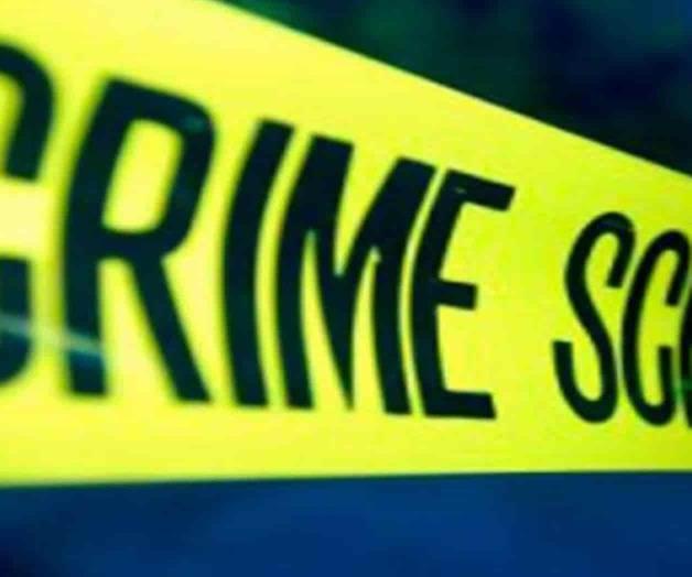 Cráneos, huesos largos y un feto, lo encontrado en operativo Cráneos, huesos largos y un feto, lo encontrado en operativo