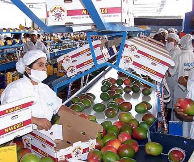 Agroexportaciones, en un camino difícil Agroexportaciones, en un camino difícil