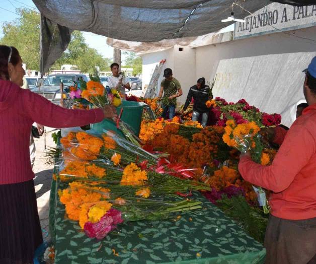 Desleal competencia en venta de flores