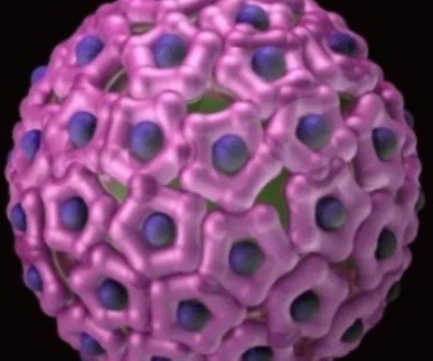 Sistema inmune puede eliminar el virus del Papiloma Humano experta