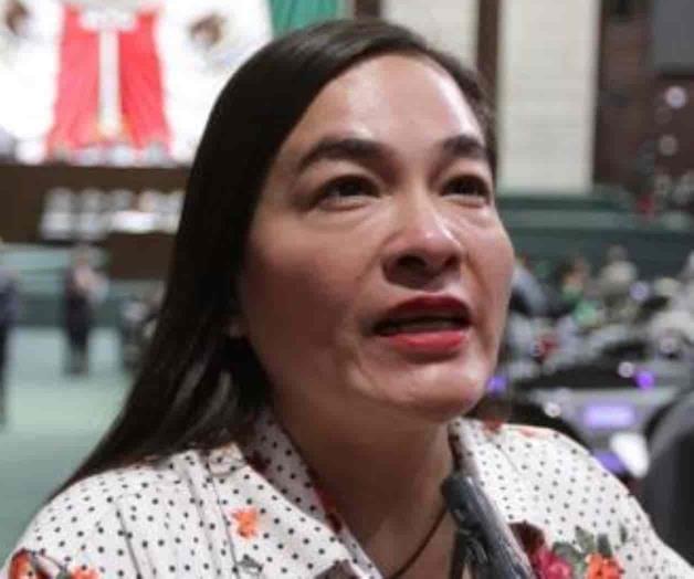 “Ley Nieto” es inconstitucional, advierte PRD “Ley Nieto” es inconstitucional, advierte PRD