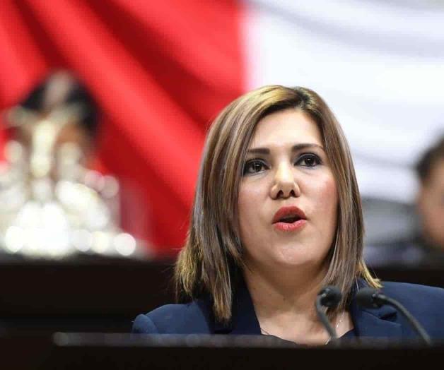 Rendirá informe diputada federal Rendirá informe diputada federal