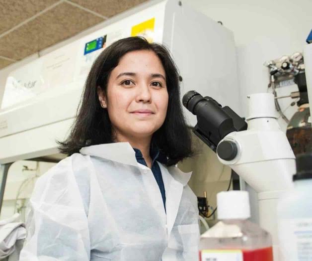 Una nueva tecnología pretende transformar el cáncer de pulmón en una enfermedad crónica Una nueva tecnología pretende transformar el cáncer de pulmón en una enfermedad crónica