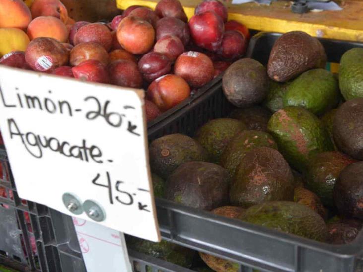 Estable el aguacate Estable el aguacate