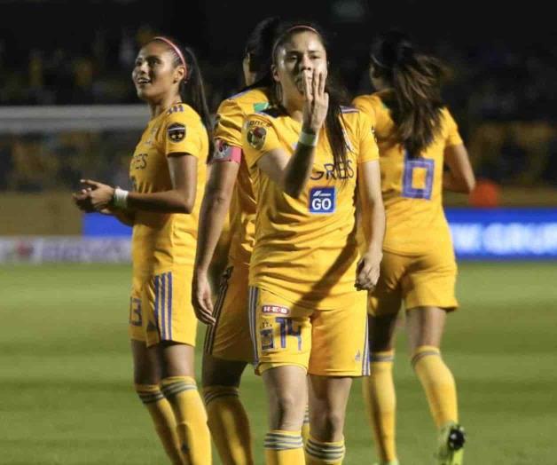 Tigres con rumbo  al bicampeonato