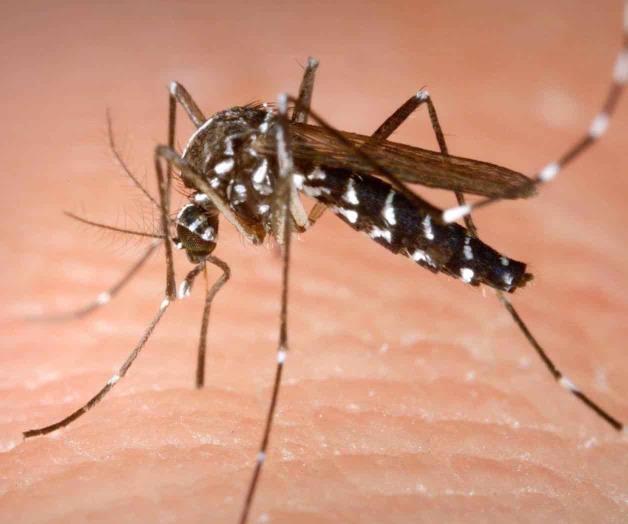 Intensifican acciones de prevención