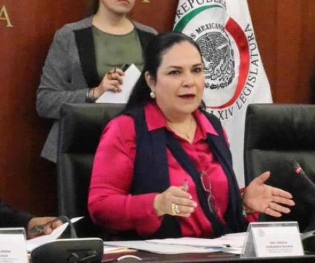 TEPJF confirma legalidad en elección de Piedra Senado TEPJF confirma legalidad en elección de Piedra Senado