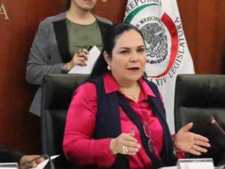 TEPJF confirma legalidad en elección de Piedra Senado TEPJF confirma legalidad en elección de Piedra Senado