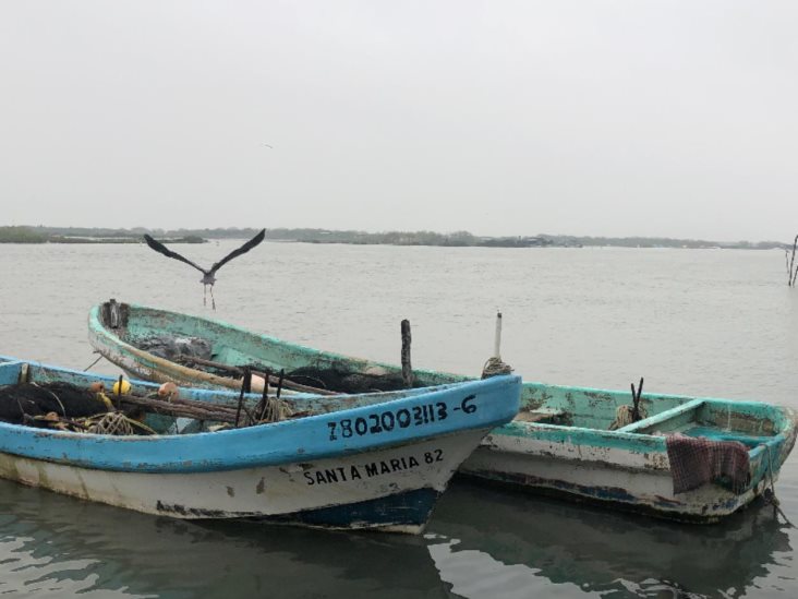Posible éxodo de pescadores Posible éxodo de pescadores