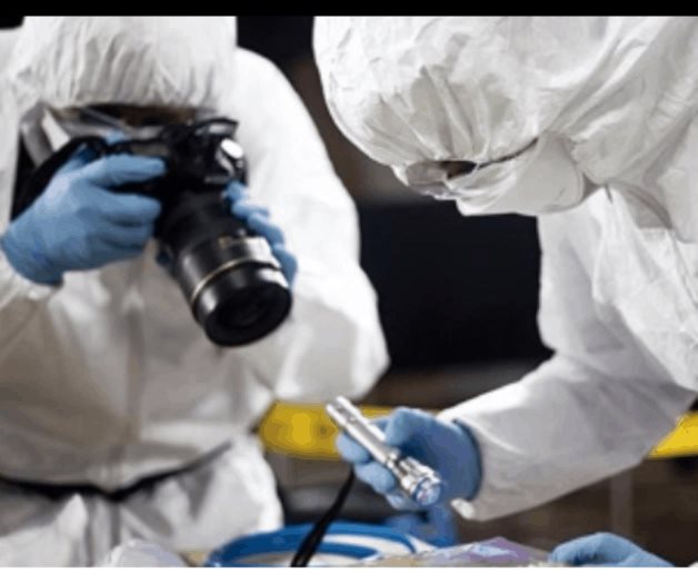 Primer Mecanismo Extraordinario de Identificación Forense (MEIF)