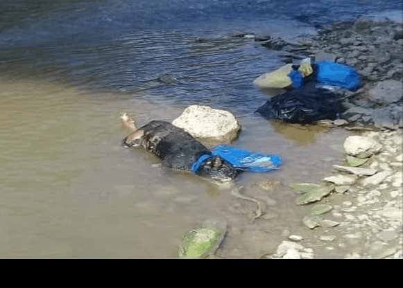 Tiran animales muertos en río