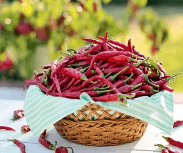 Comer chile es bueno para cuidar al corazón Comer chile es bueno para cuidar al corazón
