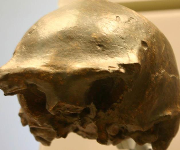 Los últimos supervivientes de la especie humana más longeva