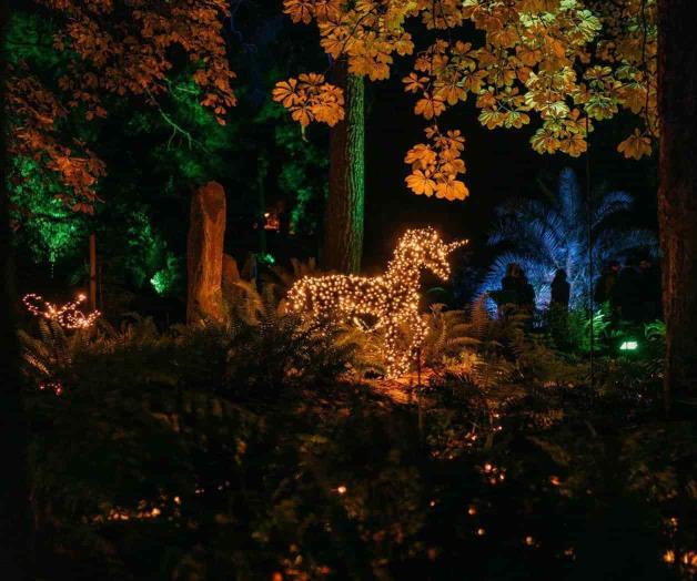 Recorrido por las nuevas luces de Navidad en Madrid: desde un árbol de la Bauhaus hasta un bosque encantado